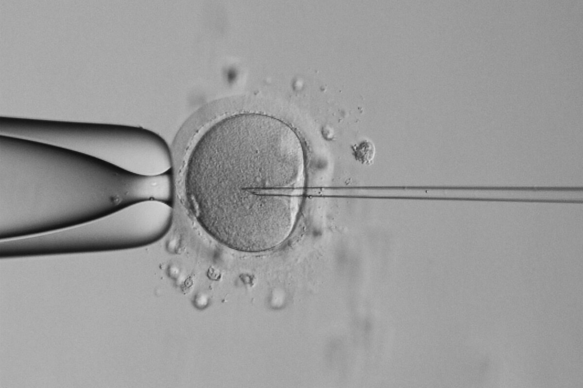 provrörsbefruktning hur går det till