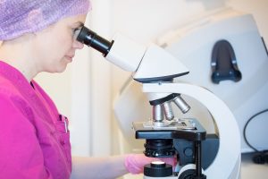 Fertilitetsbehandling Regler