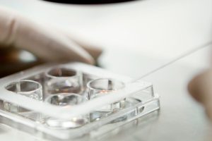 Frysta embryon chans