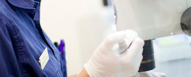 Insemination Sverige Regler