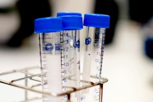 Insemination Sverige Regler