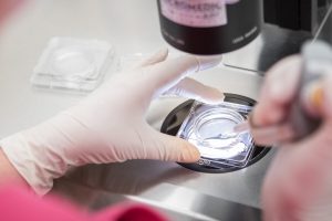 Träning under IVF-behandling