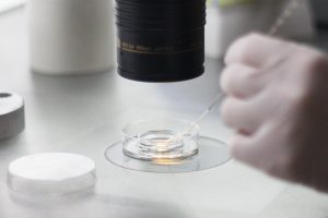 Att tänka på efter återföring av embryo