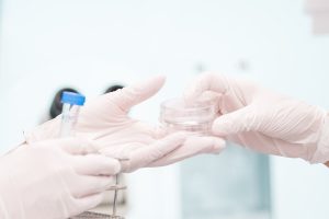 Hur många ägg är normalt vid IVF?