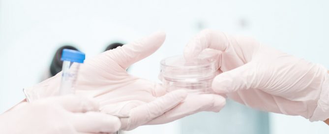 Hur många ägg är normalt vid IVF?