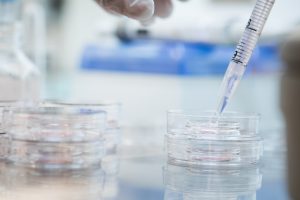 Hur många äggblåsor är normalt vid IVF?