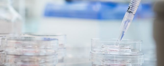 Hur många äggblåsor är normalt vid IVF?