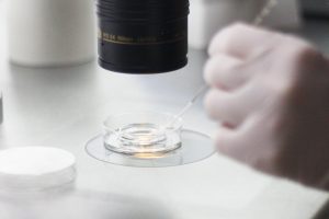 Symptom efter embryoåterföring