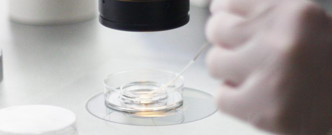 Symptom efter embryoåterföring