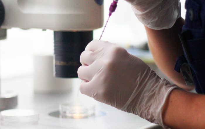 Varför fäster inte ägget i livmodern?